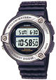 Наручные часы CASIO DW295-1