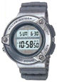 Наручные часы CASIO DW-295D-8VS
