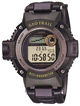 Наручные часы CASIO FTS-101L-3V