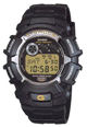 Наручные часы CASIO G-2110-1VSGF