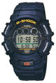 Наручные часы CASIO G-2400-2VSGF