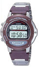 Наручные часы CASIO LW-22HD-4AVH